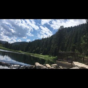 Meet your Posher, Lily